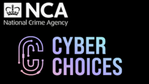 The Cyber Choices programme